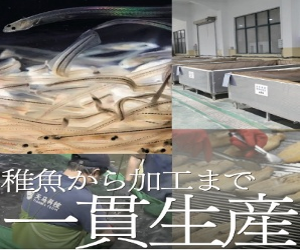 イメージ３