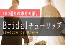 イメージ１