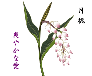 イメージ３