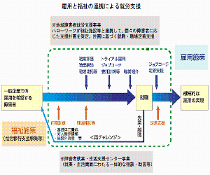 イメージ１